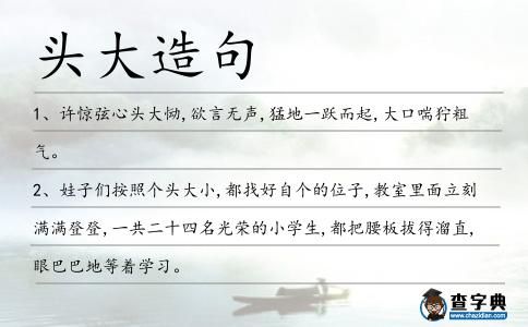 頭大造句