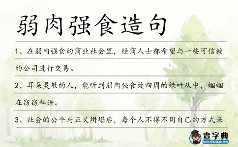 弱肉強食造句