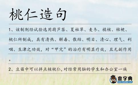 桃仁造句