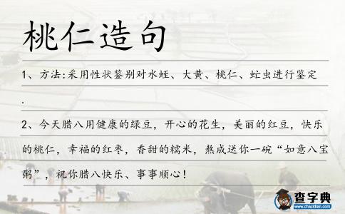桃仁造句