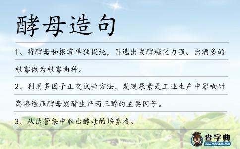 酵母造句