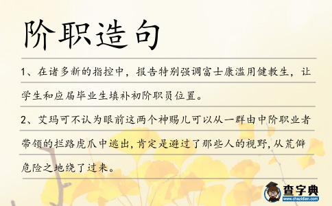 階職造句