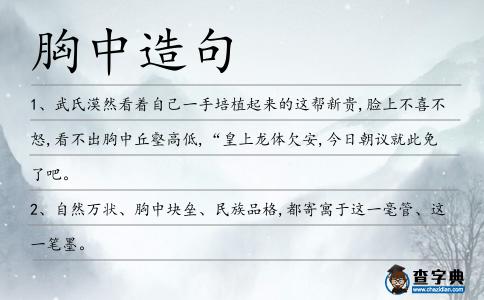 胸中造句