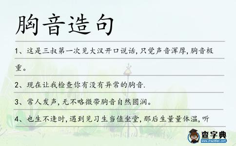 胸音造句