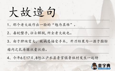大故造句