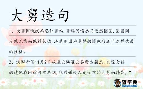 大舅造句