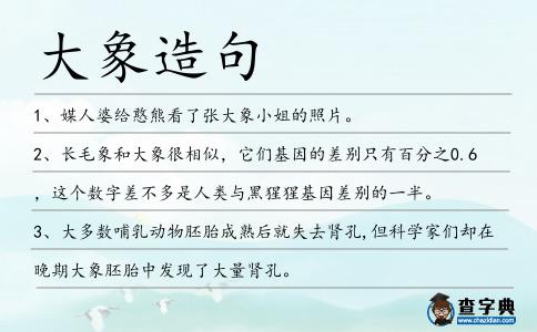 大象造句