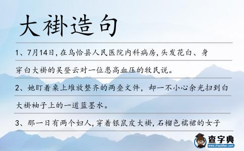 大褂造句