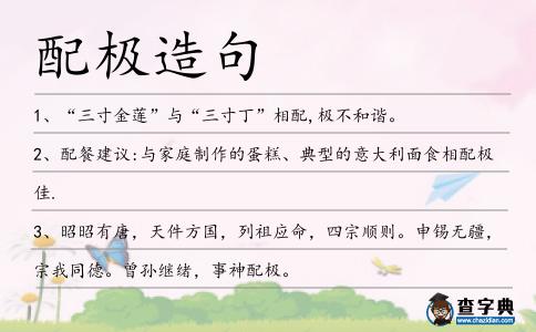 配極造句