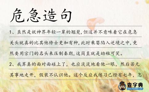 危急造句