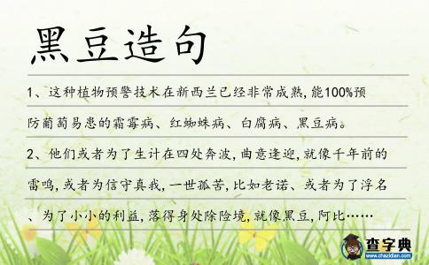 黑豆造句