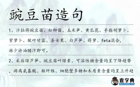 豌豆苗造句