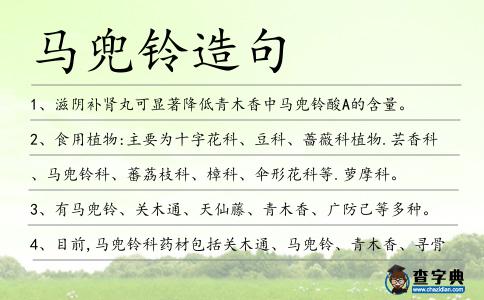 馬兜鈴造句