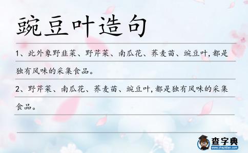 豌豆葉造句