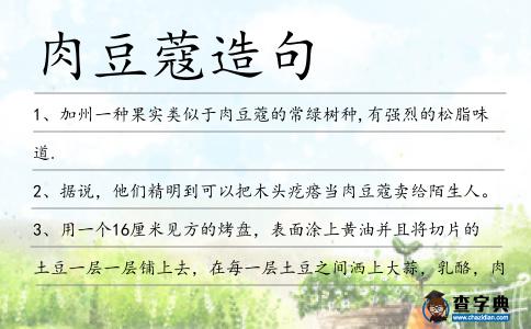 肉豆蔻造句