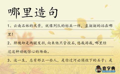 哪里造句
