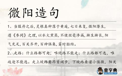 微陽(yáng)造句
