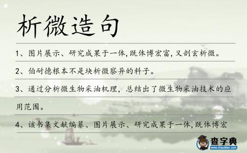 析微造句