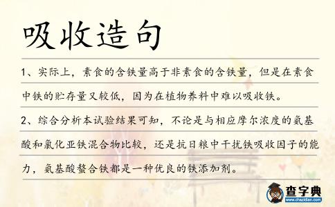 吸收造句