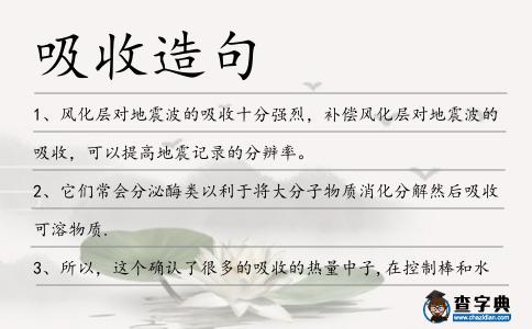 吸收造句