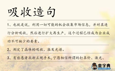 吸收造句