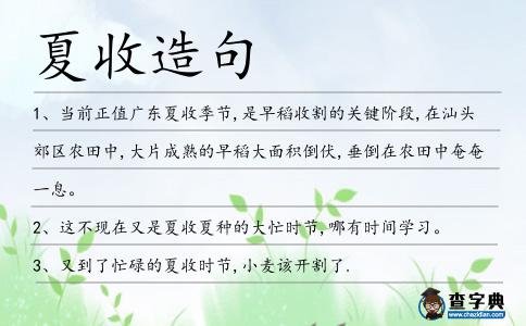 夏收造句