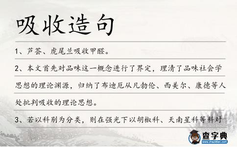 吸收造句