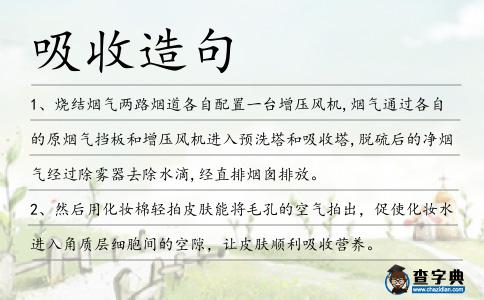 吸收造句