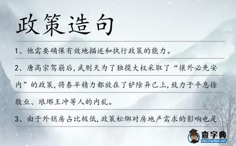 政策造句