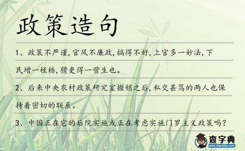 政策造句