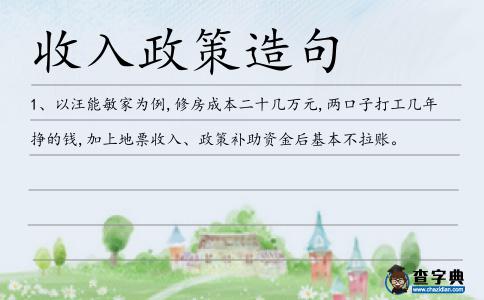 收入政策造句