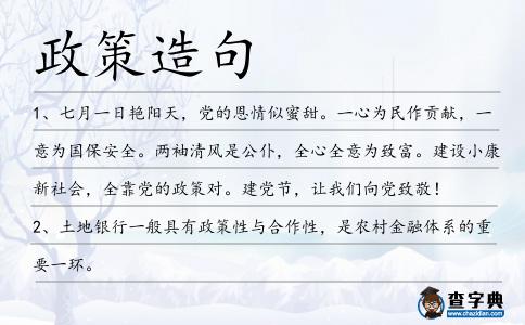 政策造句