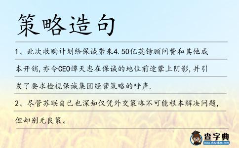 策略造句