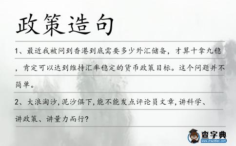 政策造句