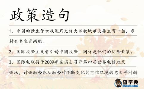 政策造句