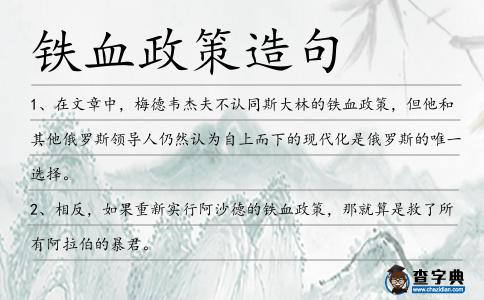 鐵血政策造句
