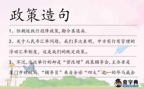 政策造句