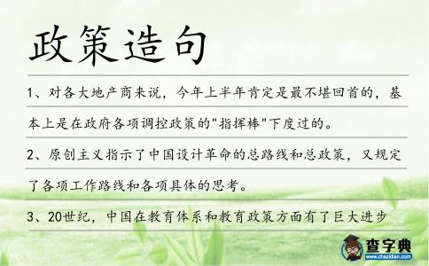 政策造句