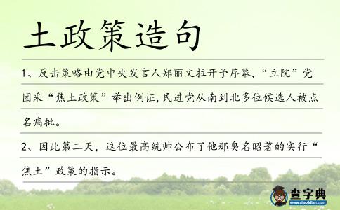 土政策造句