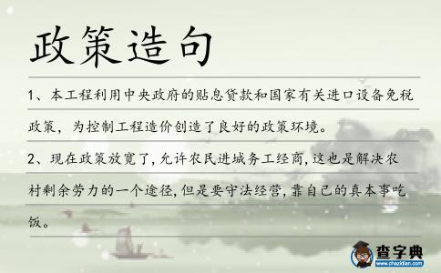 政策造句