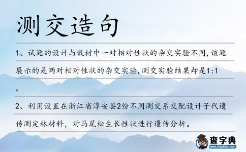 測交造句