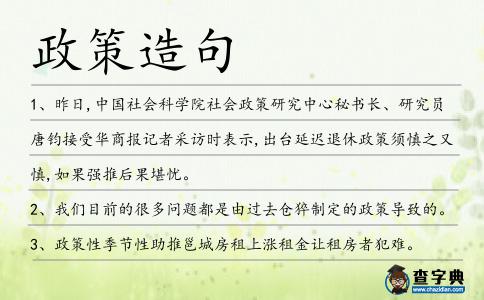 政策造句