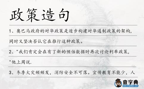 政策造句