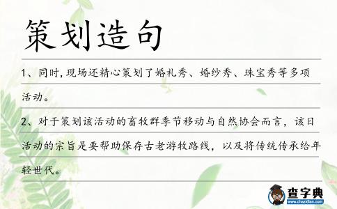 策劃造句
