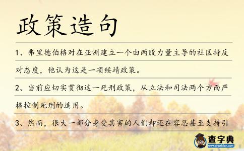 政策造句