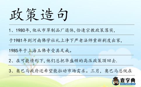 政策造句