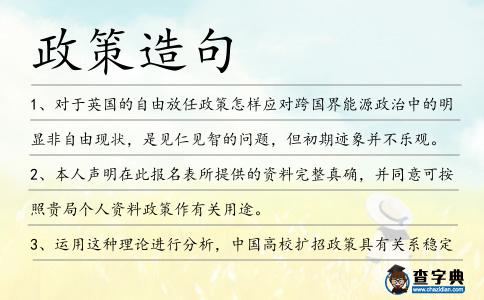 政策造句