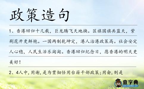 政策造句