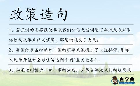 政策造句