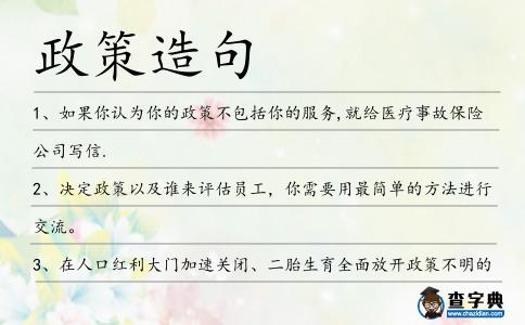 政策造句